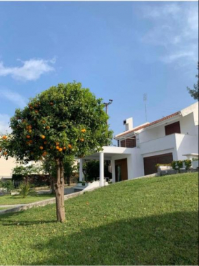 Nikogroup Villa Green